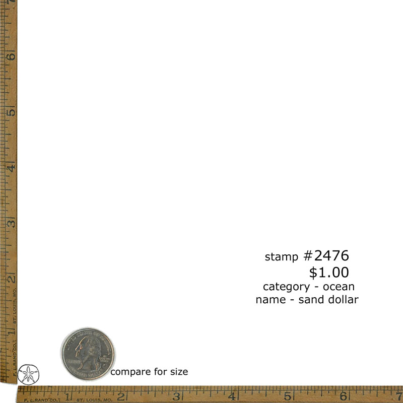 #2476 - Sand Dollar - Ocean